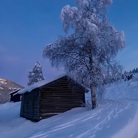Hyttegrend Hytta Kans Tuddal